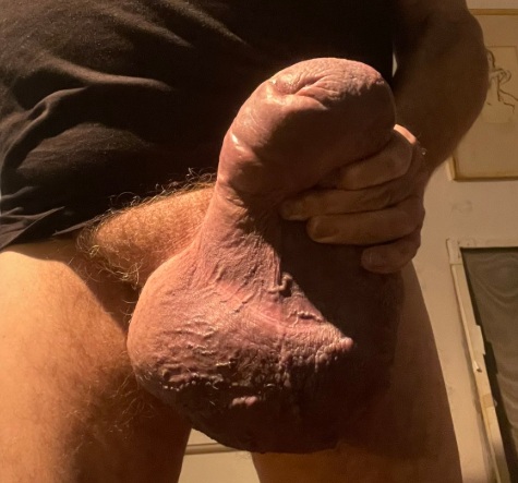 Exhi69